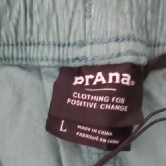 Prana Teal Shorts - Picture 8 of 9